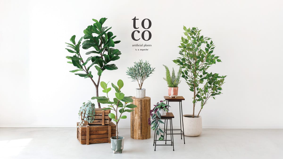 tocoシリーズ