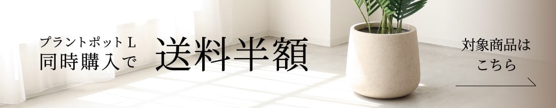 toco プラントポット Lと同時購入で送料半額