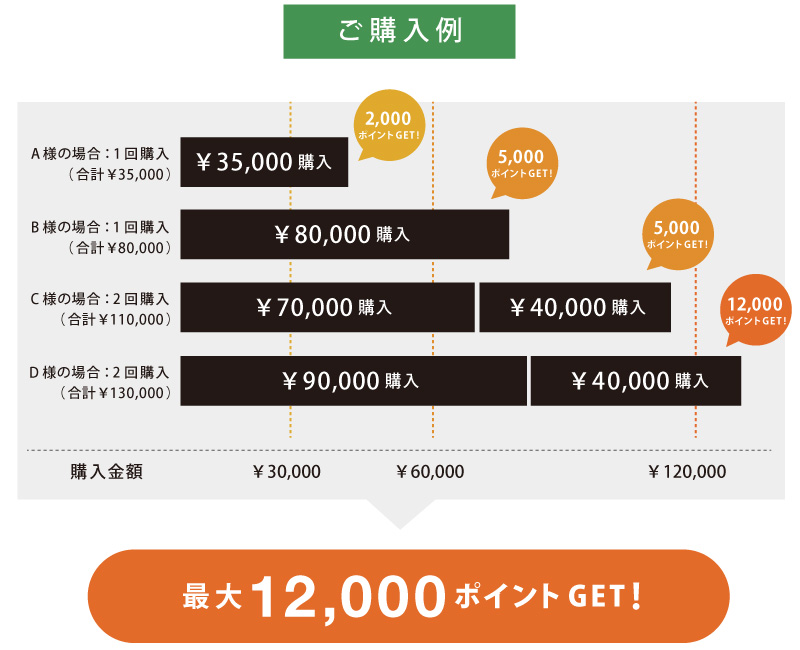 ご購入例