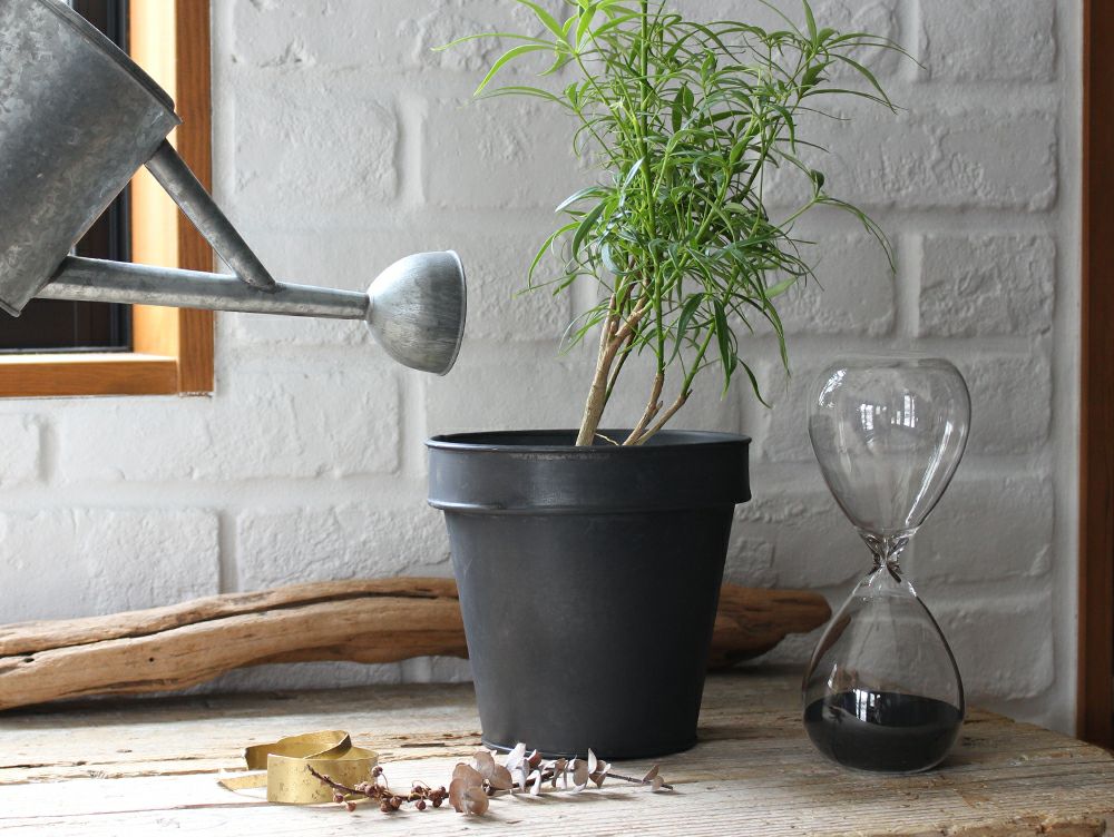 取扱終了]プラクト プランター ポット M | 家具・インテリア a