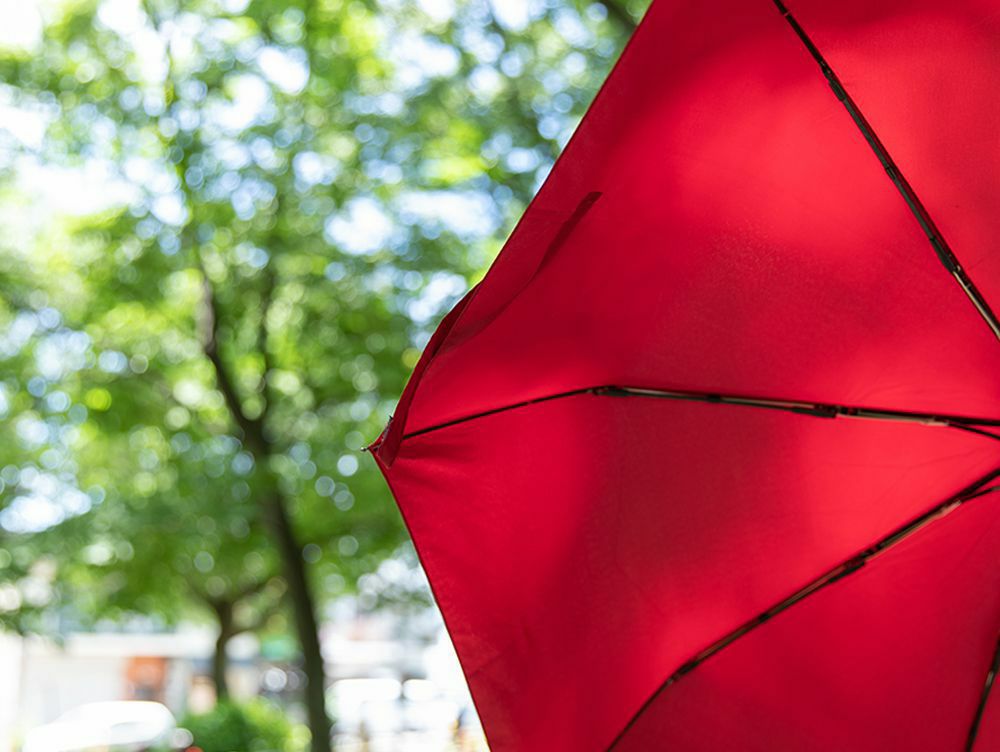 PD 傘 24 ショート 折り畳み傘