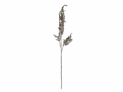 sold プロテアリース プロテア ナナ フリーズドライフラワー freeze-dried flower of